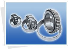 Բ׶������� �����ࡿ